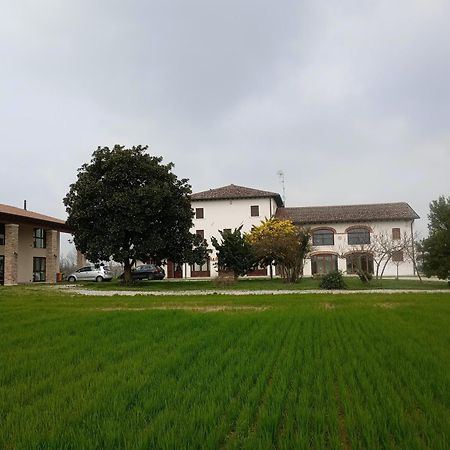 Agriturismo Trabucco Casale sul Sile Exterior foto