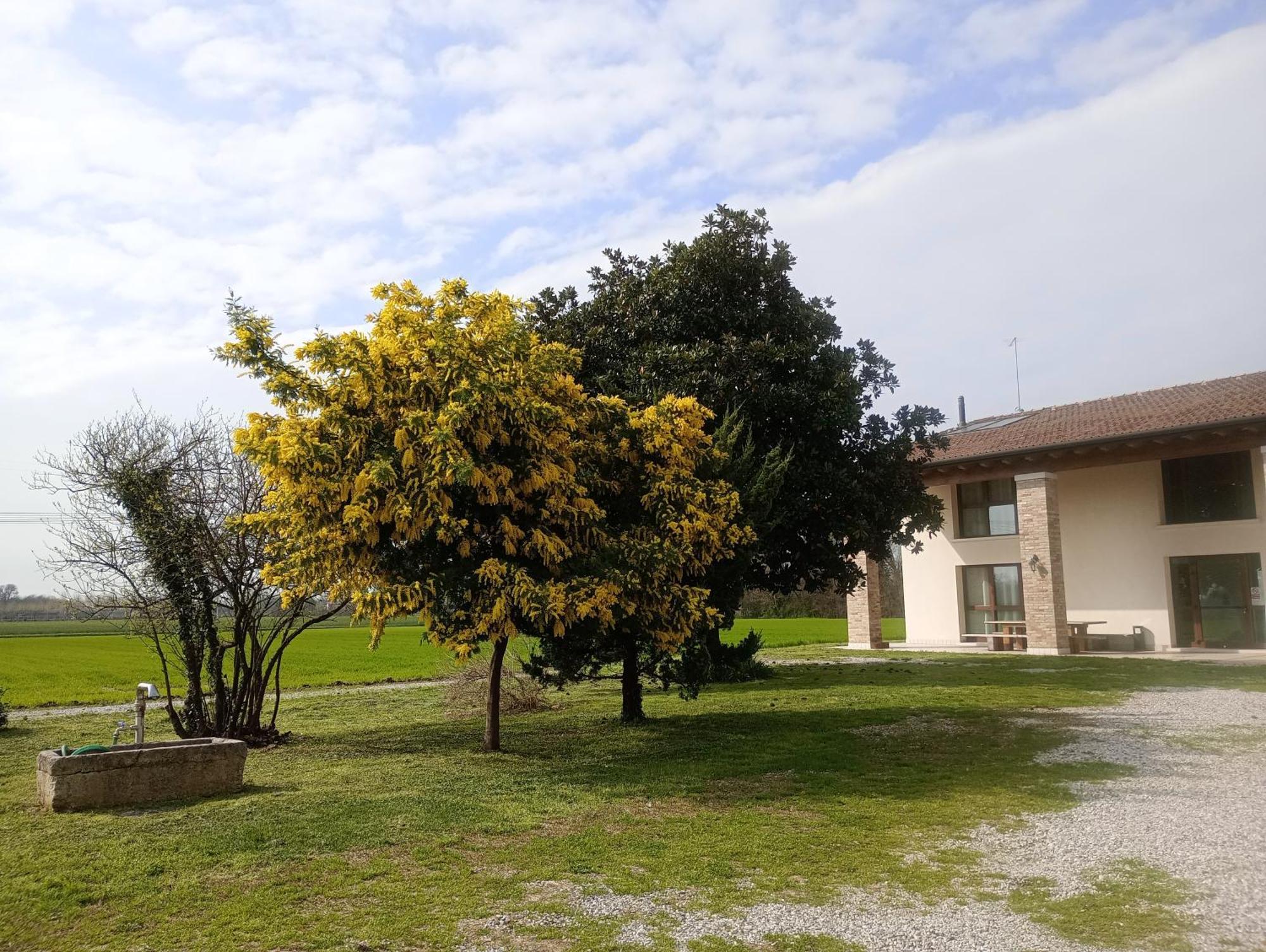 Agriturismo Trabucco Casale sul Sile Exterior foto